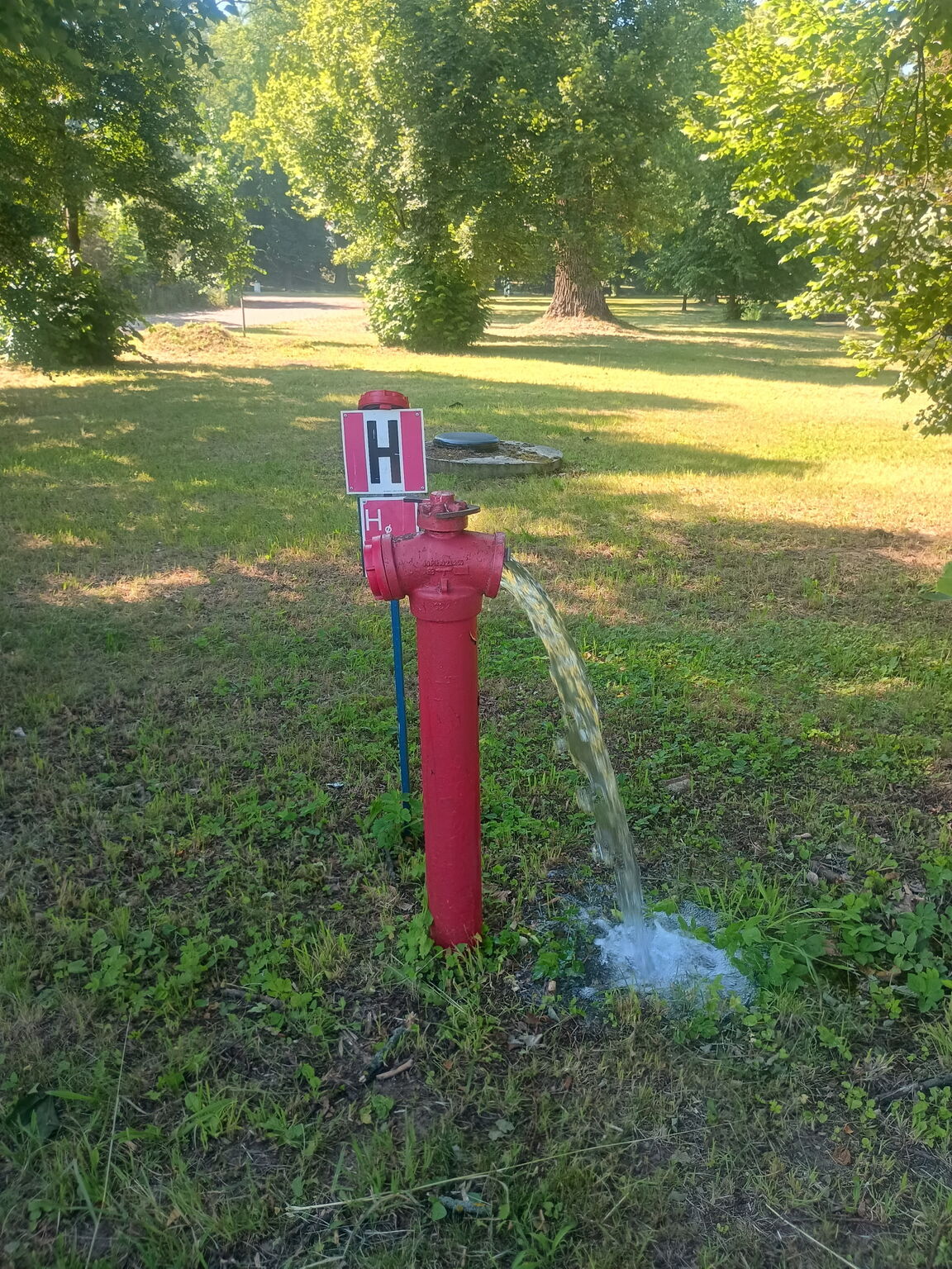 IMG 20260619 1301230000